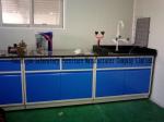 Blue Color Wall Chemistry Lab Bench Corrosion Resistant Practical