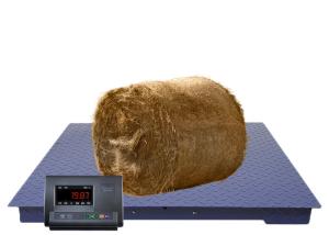China 3000KG LCD Electronic Industrial Floor Pallet Scale wholesale