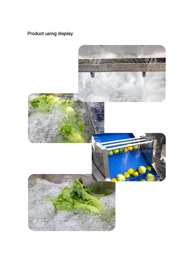 340KG Multi-functional vegetable washing machine large vegetable washing machine continuous type