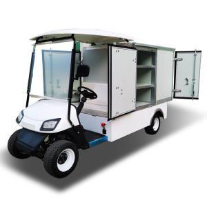 China EV Lithium Cargo Golf Cart Utility Vehicle 120KM Custom wholesale