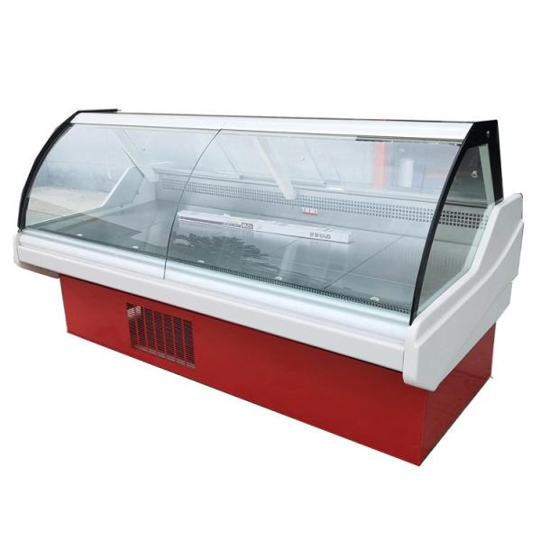 200L Single Temperature Commercial Display Freezer Deli Case Butcher Meat