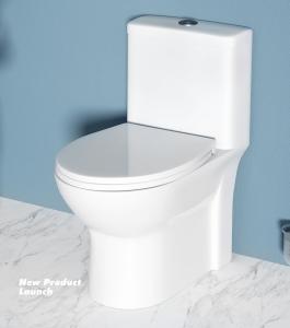 China Siphonic One Piece Water Closet Toilet Dual Flush Sanitary Ware wholesale