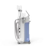 High Quality Cryolipolysis Cool Technology 4 Cryo Head Liposuction Slimming Fat