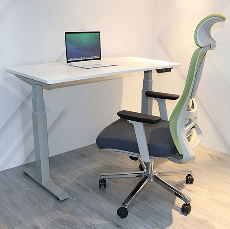 Height Adjustable Modern Boss Study Dual Motor Electric Standing Desk with Metal Column