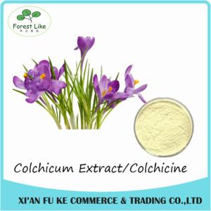 China Best Selling Colchicum Extract Colchicine 98% CAS NO:64- 86 - 8 wholesale