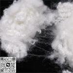 100% Virgin Polyester Fiber High Strength Conjugate Staple Fibers