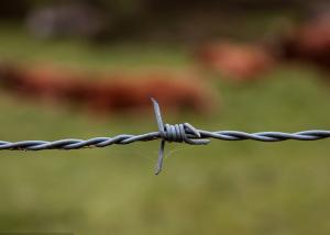 China hot dip Galvanized Steel Double Twisted Farm Barbed Wire Rolls wholesale