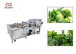300-5000KG/H Leafy Vegetable Washing Machine Green Leaves Washing Machine