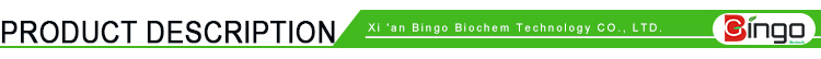 2-product description