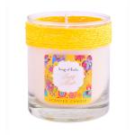 Luxury Painted Packaging Box Scented Jar Candle Soy Wax Glass For Wedding