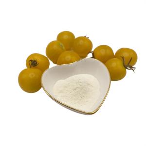 China Light Yellow Soy Protein Powder wholesale