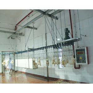 China Electrical Stunning Poultry Slaughterhouse Equipment Stainless Steel 304 In Milk White wholesale