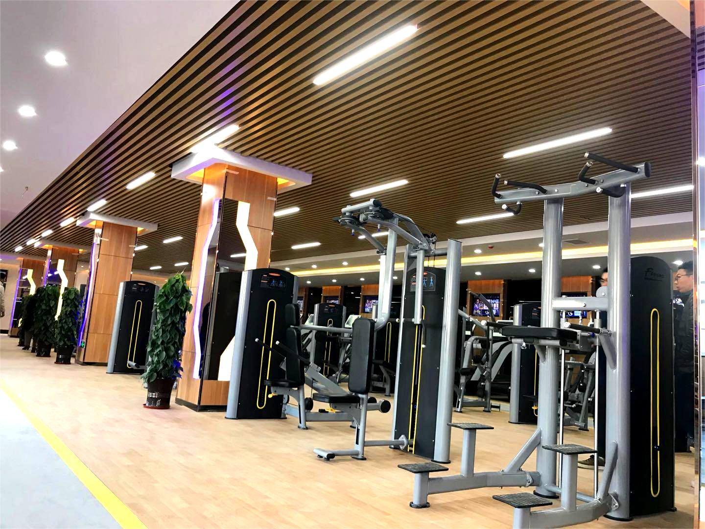 Workout Equipment Plate Loaded Selection Machines Glutes Quadriceps Kneeling Leg Curl