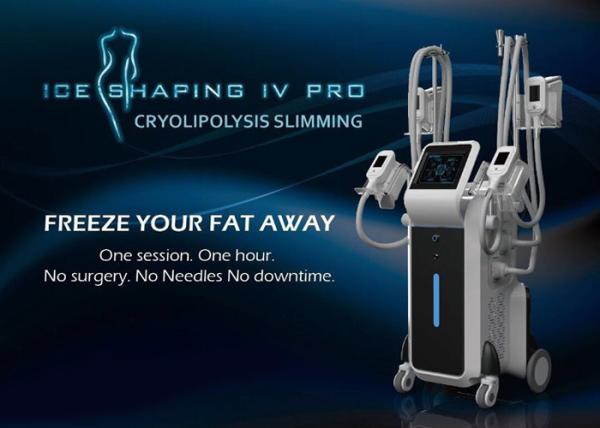 CE TGA certification high efficient fat removal body shaping cryolipolysis