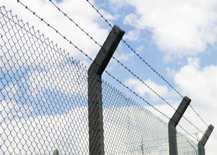 16*16 Double Strand Barbed Wire Coil For Security Fence , High Tensile