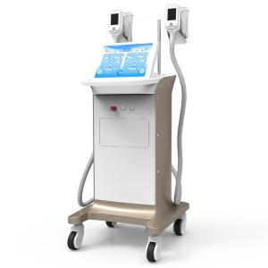 China lipo freeze machine cryolipolysis slimming fat freeze zeltiq coolsculpting machine wholesale