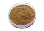 CAS 90045-36-6 Organic Dry Leaves Ginkgo Biloba Extract Powder