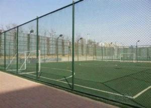 China Plastic Coating Flat Surface Metal Chain Link Fence wholesale