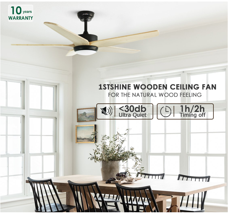 led ceiling fan