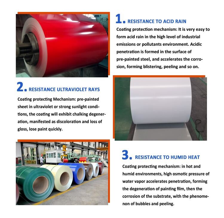Hot Dipped Galvanized Steel Prepainted Coil Coated Steel Coil