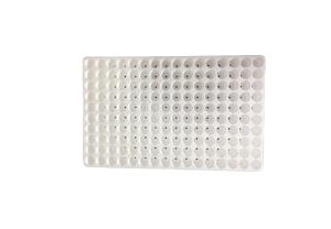 China 50/120/160/200 Hole Floating Seedling Tray for Soilless Cultivation Of Vegetables wholesale