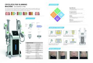 China 2019 New technology bearty equipment 3 cryo handles lipo cryotherapy wholesale