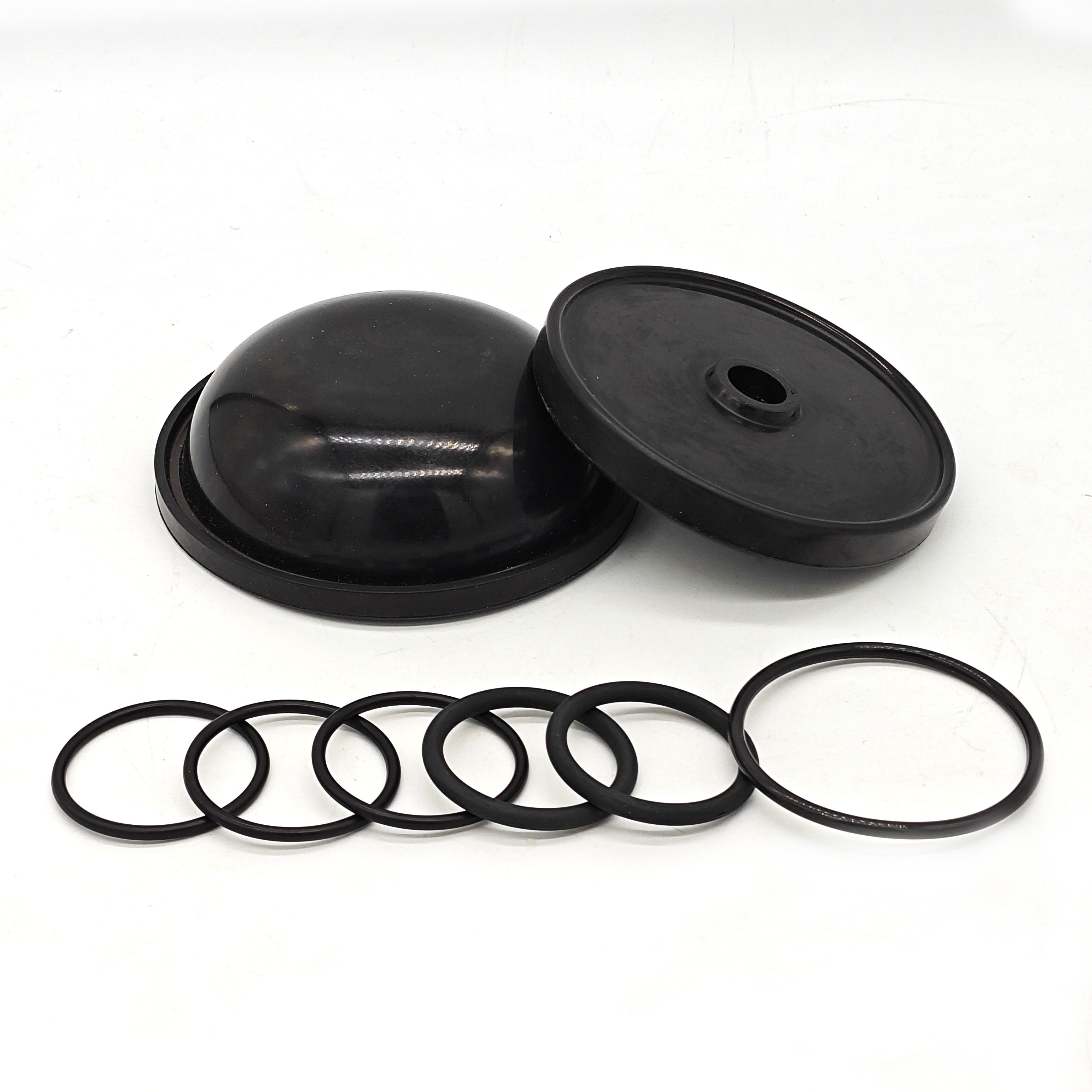 Blueflex Diaphragm Kit For Ar30/40 Pumps