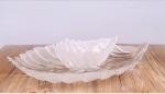 glass Plate