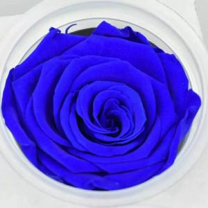 China Preserved Roses Flower 12 Roses in Round Gift Box for Wife or Girlfriend rose Preserved Flowers wholesale