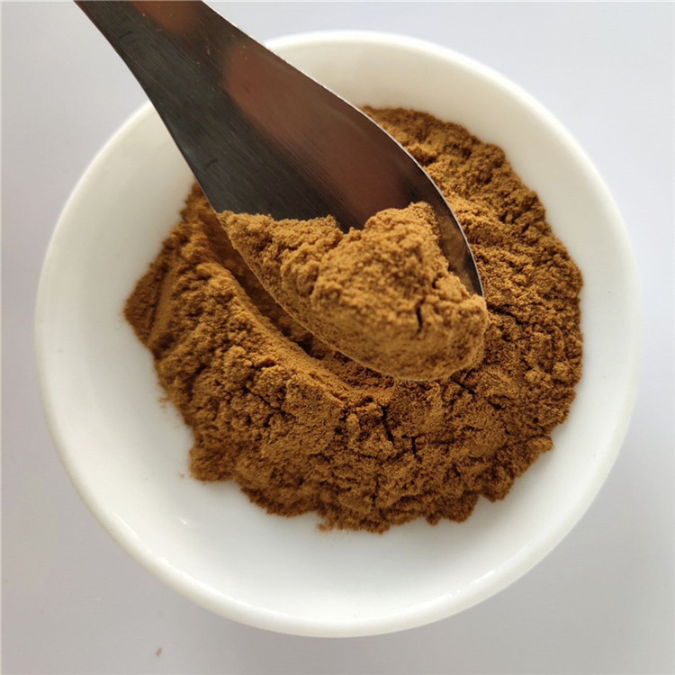 Medicine Grade Purslane Extract For Detoxification