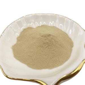 China Quick Release Amino Acid Powder for Enhanced Well being wholesale