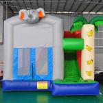 Small Bouncy Castle With Slide PVC Material Digital Printed Waterproof