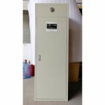 Xingjin 100L FM200 Cabinet Extinguisher Single Cylinder Fast Fire Suppression