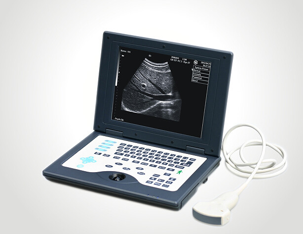 CLS5800 laptop Veterinary Ultrasound Scanner Full Digital Ultrasonic Diagnostic System