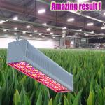 IP65 600 Watt Supplemental UV Grow Light 660nm AC 265V For Vegetable