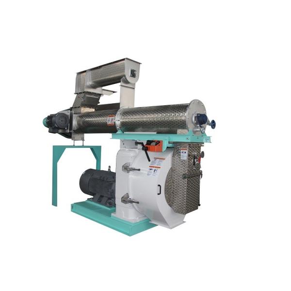Stain Resistant Cattle Feed Manufacturing Plant 3-12T/H Cow Feed Production Line