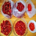 Raw Spice 4cm Chili Ring Pungent Crushed Dried Peppers