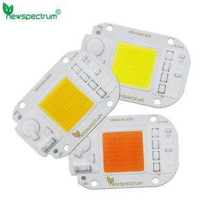 China 220v 50w Led Cob Chip 60 Hz For Hydroponic Flowers Greenhouse wholesale