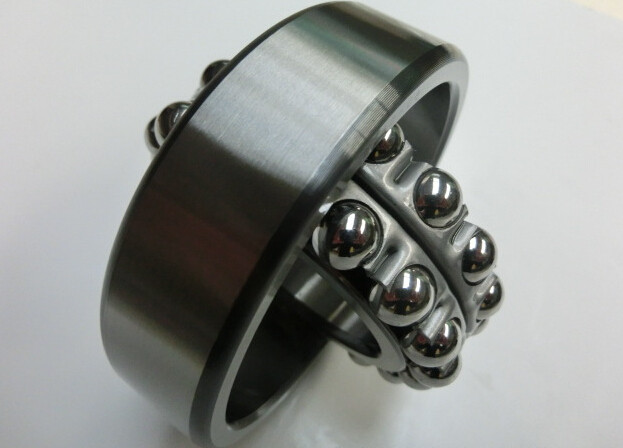 Double Row Self Aligning Ball Bearing 2210 Brass Cage Bearing