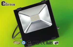 China 80 Watt IP66 outdoor Led Light flood For Billboard EMC3030 chip Isolated driver wholesale