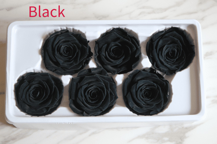 beautiful preserved rose flower A grade stabilized rose preserved long lasting eternal rose 4-5cm