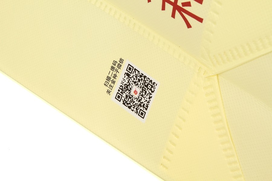 Promotional Custom Christmas Style Non Woven Bag gift Bag Reusable Custom Printing Company Logo