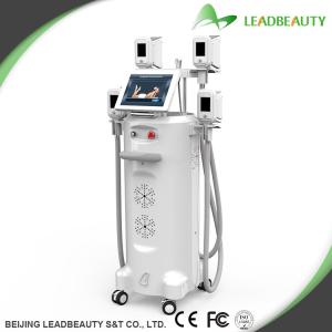 China Most professional cryolipolysis therapy machine with 8L stainless steel water tank wholesale