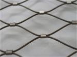 Focus On Cable Mesh For Over 10 Years