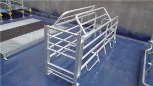China used pig farrowing stall pig crate farming equipment in india wholesale