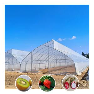 China Tropical Plastic Film Single-span Sawtooth Strawberry Growing Tent Greenhouse wholesale