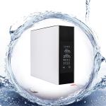100 Gpd Household Ro Water System Drinking Water Clean Purifier Ro Machine