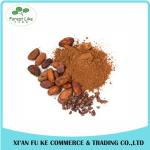 High Quality Cocoa Seed Extract Powder Theobromine