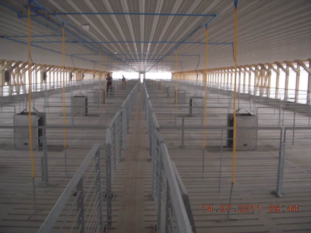 Durable Hog Farm Equipment Fattening Farrowing Stall For More Than 40kgs Pig
