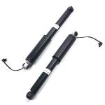 Hot Sale Rear Magnetic Ride Control Shock 84178213, 22953019 GMC Sierra
